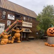 Le parc aux couleurs d’Halloween.