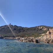 Visite de l’archipel des Sanguinaires 