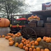 PortAventura sous le thème d’Halloween.