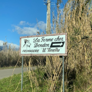 Le 20 décembre, l'association est invitée à La Ferme chez Dondon à Biguglia