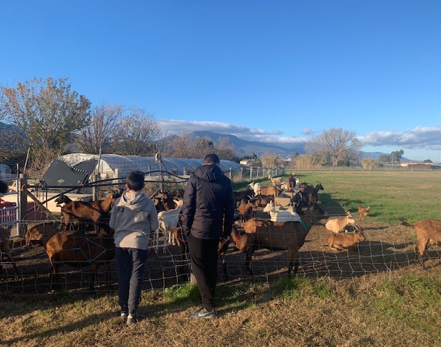 Rencontre avec les animaux de la ferme